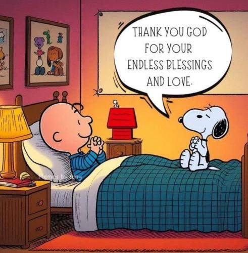 8fcdf5f1477a0cdd8698ff785c0756b2