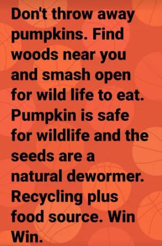 don't-toss-pumpkins