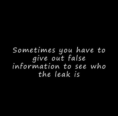 FB_IMG_1755268560041