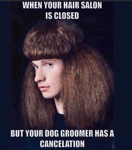 FB_IMG_1757346134498