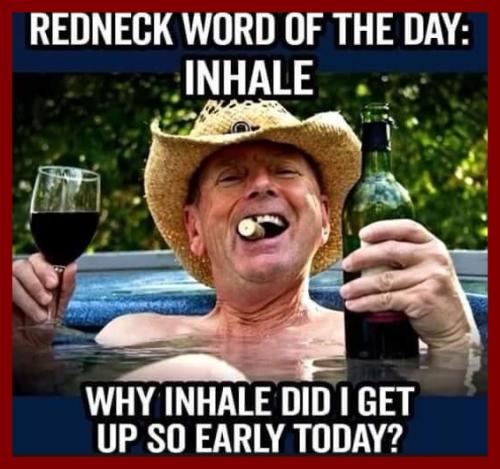 2d693a58aa6fe7c6ec01788f1fc341d213c5bdca1b29c380b71c1548467b1bfa_1