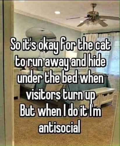 548457006_10163628373754947_5961434843075696588_n