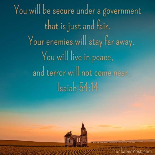 b723bd33-66a6-49e8-aea3-8f8c28bf2495_1080x1080