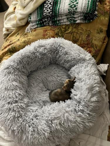 B4D0ED11-B84B-4543-90E7-02103FFBE14F