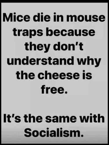 104704081_298748587978064_1044392196977572677_n