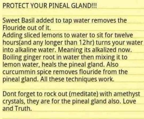 .       407158612_72510079949...