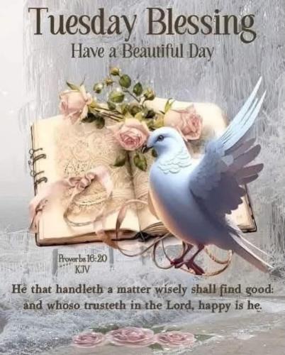 544109027_18023711192743683_7978914217373646384_n