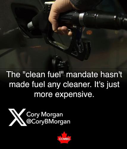 clean fuel mandate