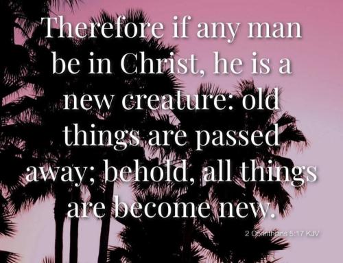 2d3df529-3f1c-4c21-b646-8a79c1447116