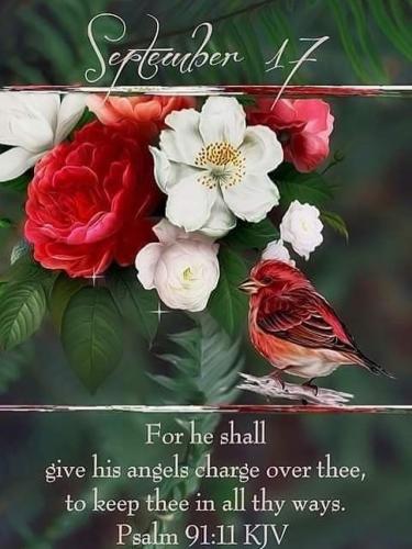 550188263_18024616127743683_9208225010660829343_n