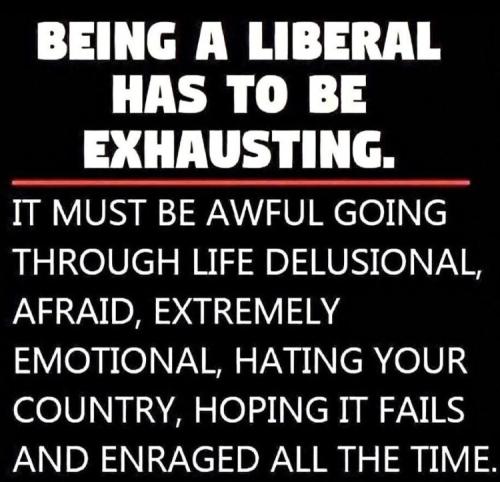 being_a_liberal_must_be_exhausting_funny