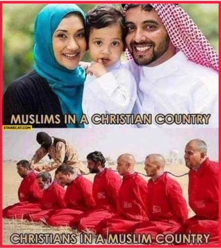 564BDE39-0BE4-4723-983A-344B1F514C2F