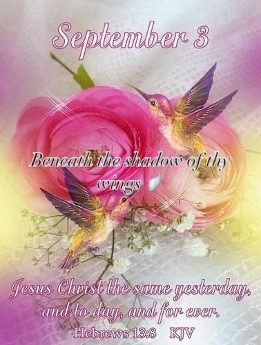 541787251_18022992518743683_4133126907532406193_n