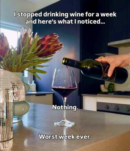 546573737_1243555481121636_2423834669669472254_n