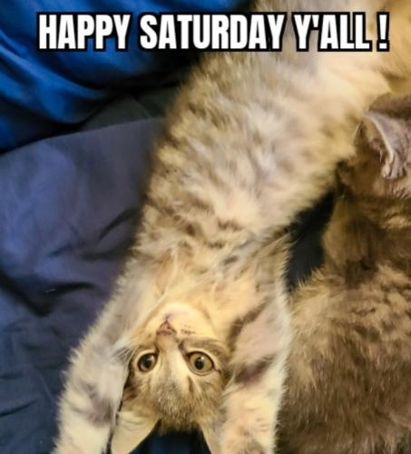 Screenshot_20250920_144458_Gallery