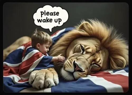 64ecd06ef47598efbe5337d33611de13