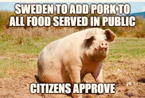 e40a2889-055b-447e-8216-a98bf1c39355