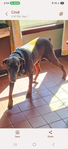 Screenshot_20250901_145414_Messages