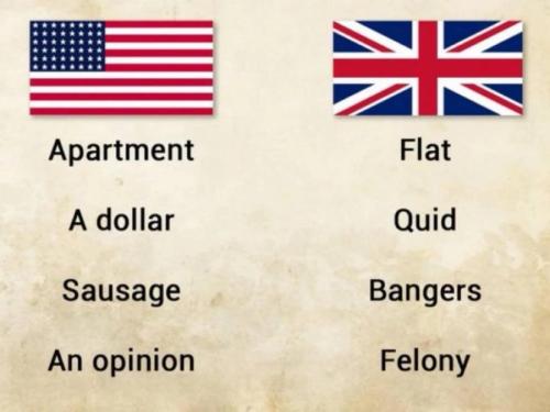 IMG_20250920_051019_701