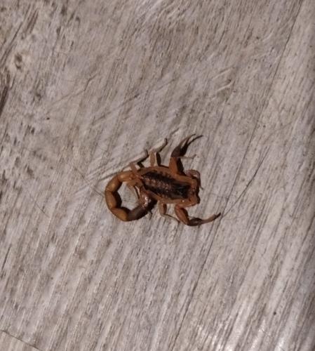 IMG_20250901_210057884~2