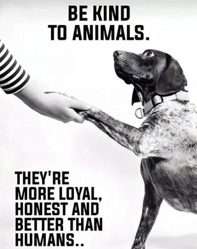 be-kind-to-animals