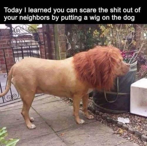 IMG_20250901_144020_827