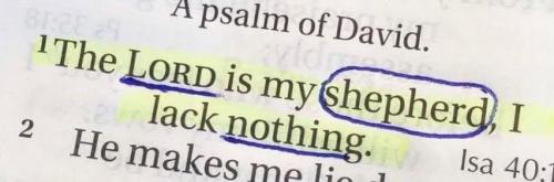 IMG_20250918_192019_527