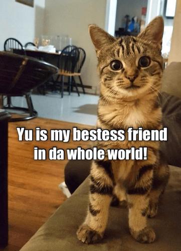 42aa7d89981dafcbcebf10a4f0504977