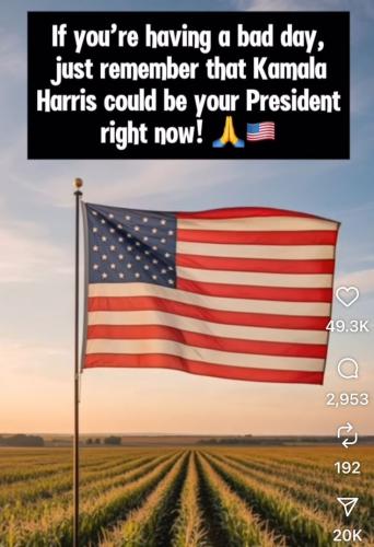 35d8393e83a8acafd05c57805f6896e5