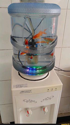 c7c4beb291feb2272c494e6ab573cebea7e5fdcbb30ff196f75555664faf3a79_1