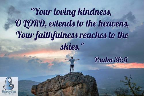 555c8b58751112e97a61acb2855a4356-2735258358