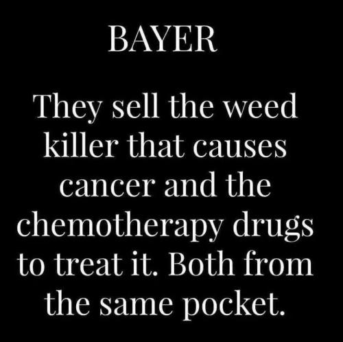 515439926_122136542876718379_6060065528476131088_n