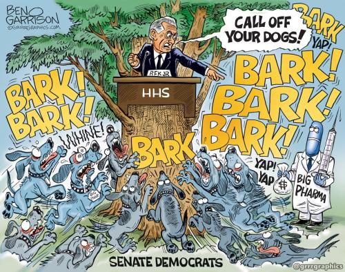 RFK_jr_vs_democrats-2025-1536x1213