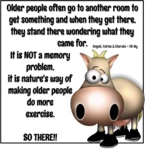 164b7dce2ea8e0a4fad2d22e55e9945a_1024