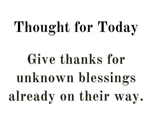 543117210_797000119501003_3808749993278012640_n