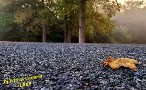 Screenshot_20250918_183909_Gallery