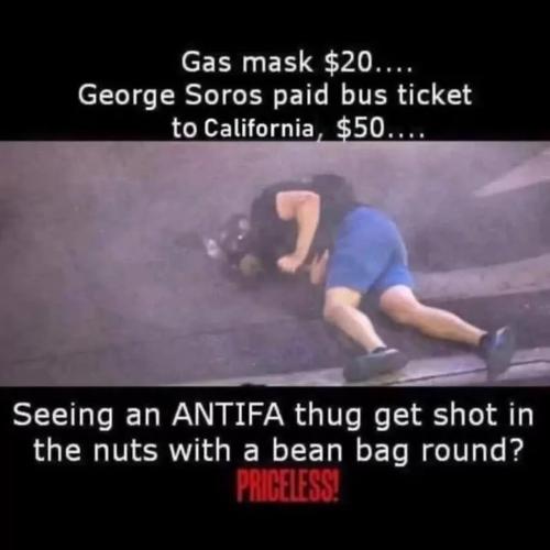 c588ff15-158b-43b3-a569-668c4af3c5ac