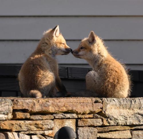 262a734ef3daa634679dbef8b3f6a6d0