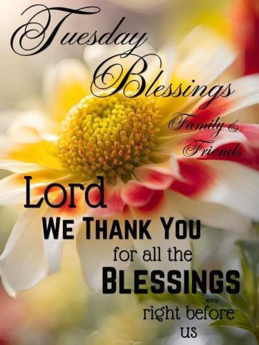 548289505_806431618557853_8139538457741681837_n