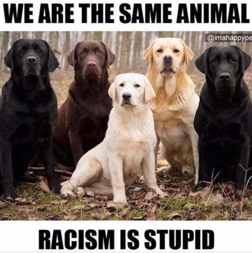 6491b1ea-b5fb-48c8-b7fd-85840d8e51fc