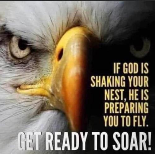 8826c434545c46c52f2259477b11eb72