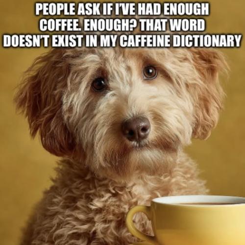 548195058_122219088650126255_1784039300166337451_n