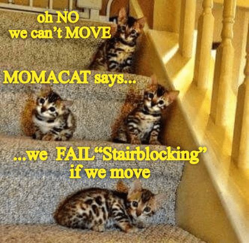 1ff58ef50fbbd3dbe496cd0ea470a980