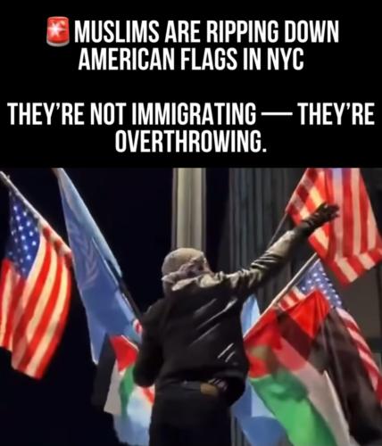 A4701520-A70D-4921-975F-DC57BAC57F5B