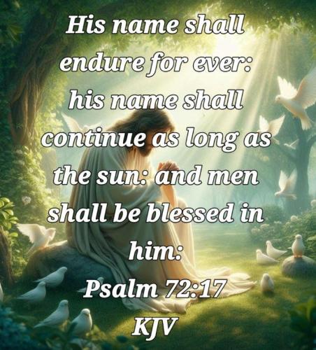 17b22109-5307-4942-99d7-f80e9dc25a29