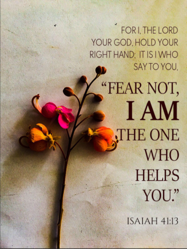 Screenshot_20250920-091108-852