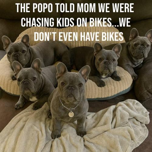 550473631_122172861122547180_6103657497563973670_n