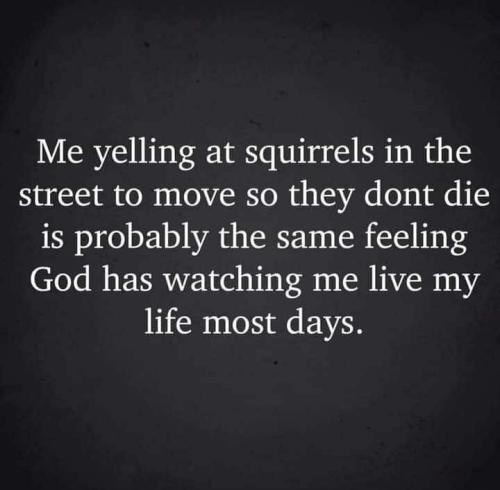 IMG_20250904_045601_665