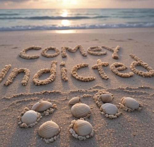 A0164912-5F79-4519-A5DF-E089005680A0-68173-000008FA2D047B11