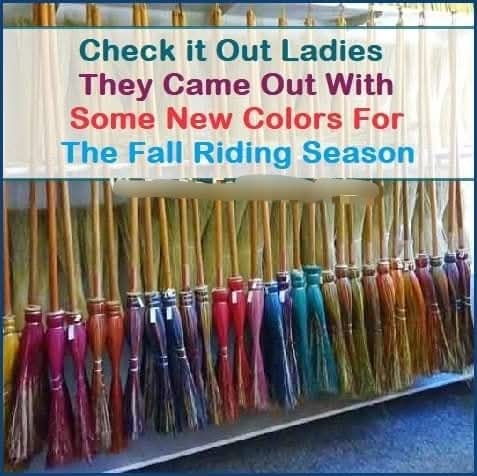 544889534_1203496391814960_1684549354983267029_n